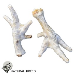 White chicken leg - Natural Treats - dogs