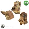 Rôti de boeuf - Friandise naturelle à mâcher pour Chien