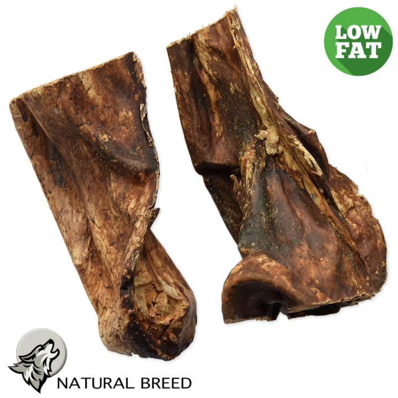 Lamb Lung - Light