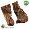 Lamb Lung - Light