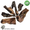 Lamb Lung - Light