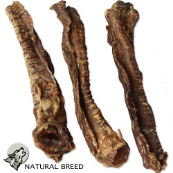 Lamb Trachea