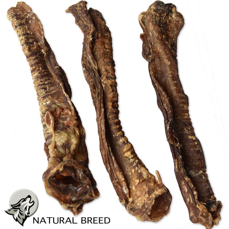 Lamb trachea deals