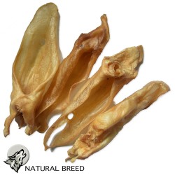 Lamb Ears