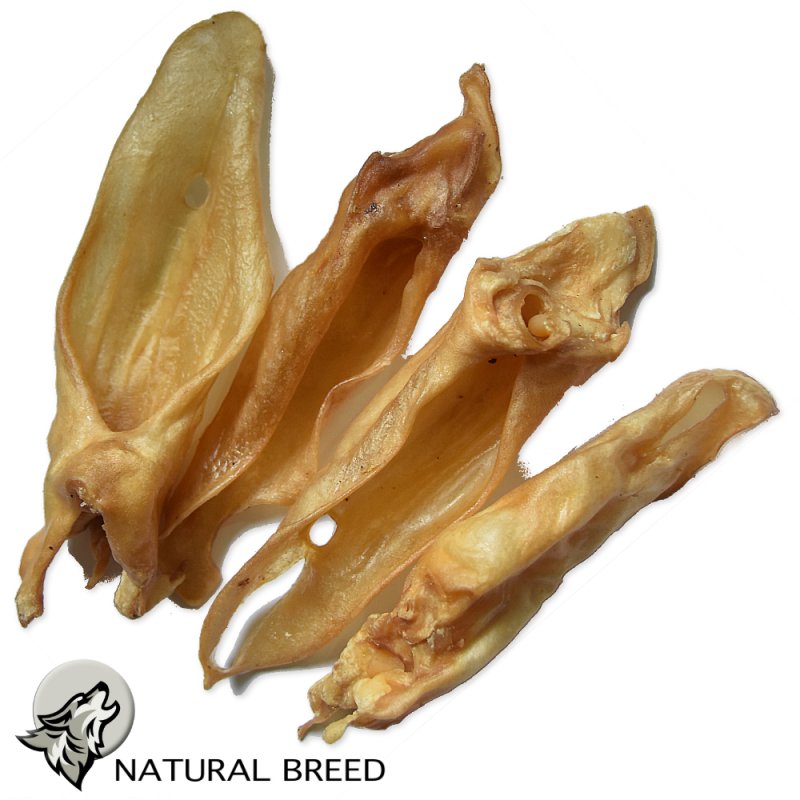 Lamb Ears