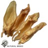 Lamb Ears