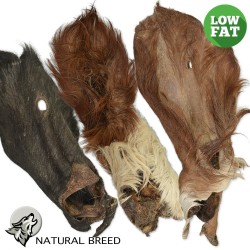 Beef ears with fur