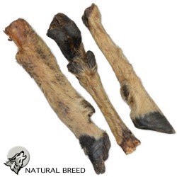 Lamb Foot with fur