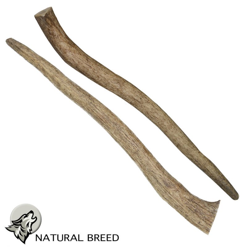 Medium deer antler - Natural Treats for dogs