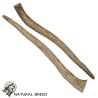 Bois de cerf (75-150 gr) - Friandise naturelle à mâcher pour Chien