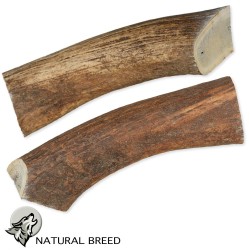 Big deer antler - Natural Treats - dogs