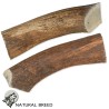 Big deer antler - Natural Treats - dogs