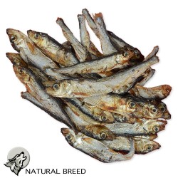 Smelts - Natural Treats - dogs and cats