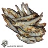 Smelts - Natural Treats - dogs and cats