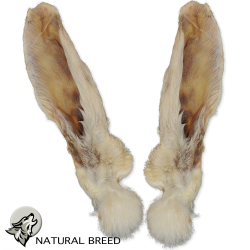 Ear rabbit with fur - Natural Treats - dogs