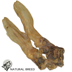 Rabbit ear - Natural Treats - dogs