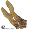 Rabbit ear - Natural Treats - dogs