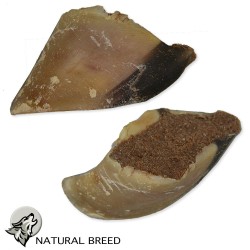 Natural Treats for dogs