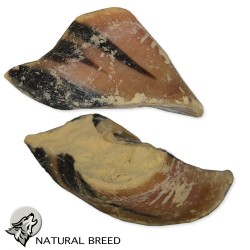 Natural Treats for dogs
