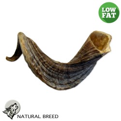 Lamb Horn