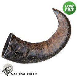 Ox Horn - Light