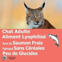 Wild Lyophilisé Salmon cat -  Lyophilisé Chat, avec du Saumon frais, fabriqué sans céréales, peu de glucides