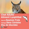 Wild Lyophilisé Salmon cat -  Lyophilisé Chat, avec du Saumon frais, fabriqué sans céréales, peu de glucides