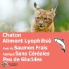 Wild Lyophilisé Salmon Kitten -  Lyophilisé Chaton, avec du Saumon frais, fabriqué sans céréales, peu de glucides