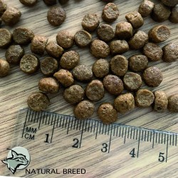 Wild Diet Fruity Perfect Cat & Kitten - Chat & Chaton