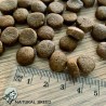 Fresh Diet Fruity Salmon - Saumon frais et fruits - photo taille croquettes