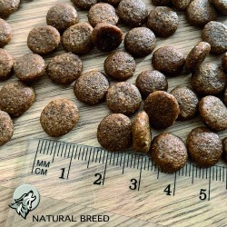 Wild Diet Fruity Puppy Large - taille des croquettes