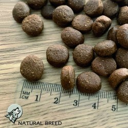 Fresh Diet Fruity Turkey - photo taille des croquettes