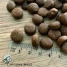 Fresh Diet Fruity Turkey - photo taille des croquettes