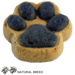 Freeze-dried cookie