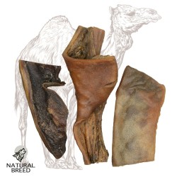 Camel skin 12cm