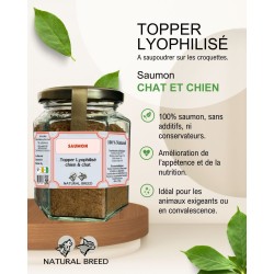 Topper lyophilisé pour Chien et Chat - 100% Saumon