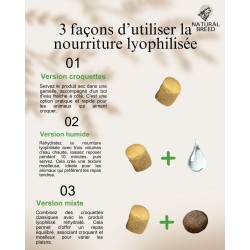 Lyophilisé chat adulte saumon – Alternative BARF pratique