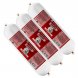 Saucisse de viande fraîche longue conservation Pack Boeuf - Aliment complet Chien, convient en friandise
