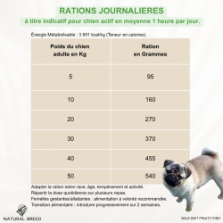 Croquettes chien poisson sans céréales pauvre en glucides | Wild Diet Fish