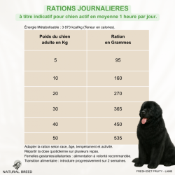 Croquettes chien agneau sans céréales pauvre en glucides | Fresh Diet Fruity