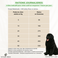 Croquettes chien canard sans céréales pauvre en glucides | Fresh Diet Fruity