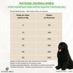 Croquettes chien dinde sans céréales pauvre en glucides | Fresh Diet Fruity