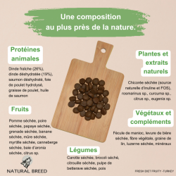 Croquettes chien dinde sans céréales pauvre en glucides | Fresh Diet Fruity