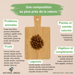Wild Diet Fruity Puppy Large (Chiot)