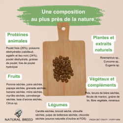 Wild Diet Fruity Puppy Mini (Chiot)
