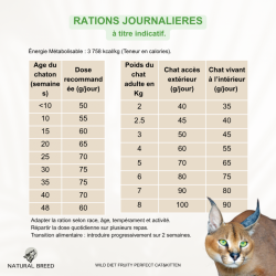 Wild Diet Fruity Perfect Cat & Kitten - Chat & Chaton