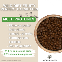 Wild Diet Fruity Perfect Cat & Kitten