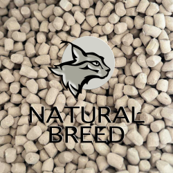 Alimentation lyophilisée au saumon pour chaton | Croissance & haute protéine | Natural Breed