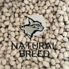 Wild Freeze-dried Perfect Kitten