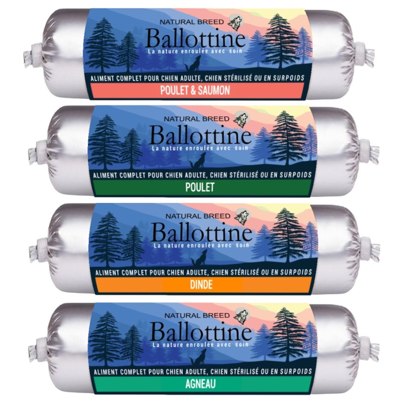 Pack Humide Chien - Ballottine – 4 Recettes x12 (48 unités)